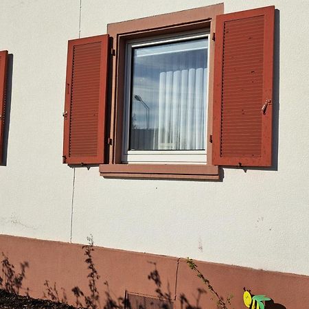 Schoene Wohnung In Worms Private Gastgeber エクステリア 写真